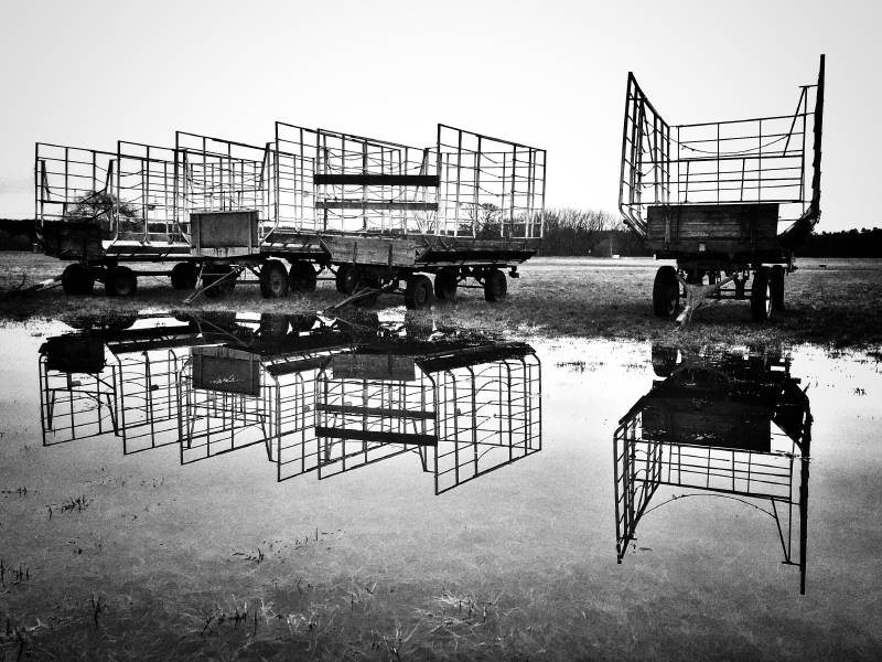 Spiegelung auf dem Feld